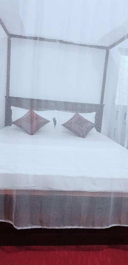 Exotic Beach Hotel Аругам Бей Екстериор снимка